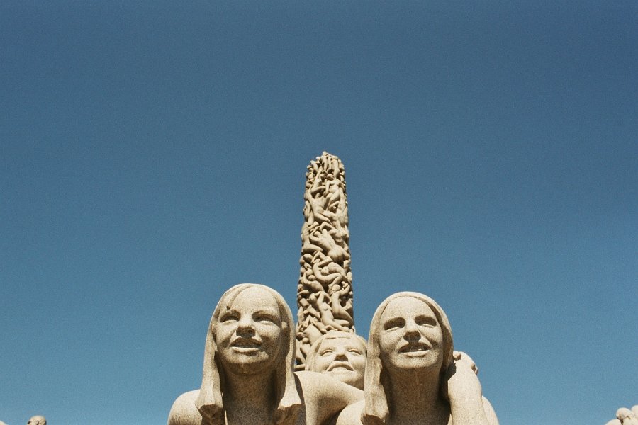 2003061523 vigeland